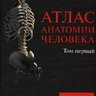 Атлас анатомии человека в 4-х томах - Р.Д. Синельников, Я.Р. Синельников