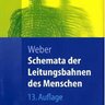 Eduard M.W. Weber Schemata der Leitungsbahnen des Menschen