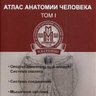 Атлас анатомии человека. Том 1 - Г.Л. Билич, В.Н. Николенко