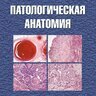 Патологическая анатомия - М.К. Недзьведь, Е.Д. Черствый. 2015