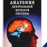 Анатомия центральной нервной системы - H.В. Воронова, Н.M. Климова, A.M. Менджерицкий